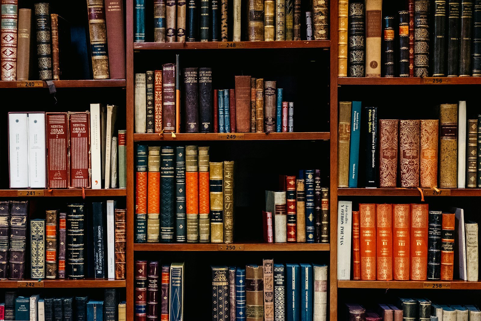 Library study hall